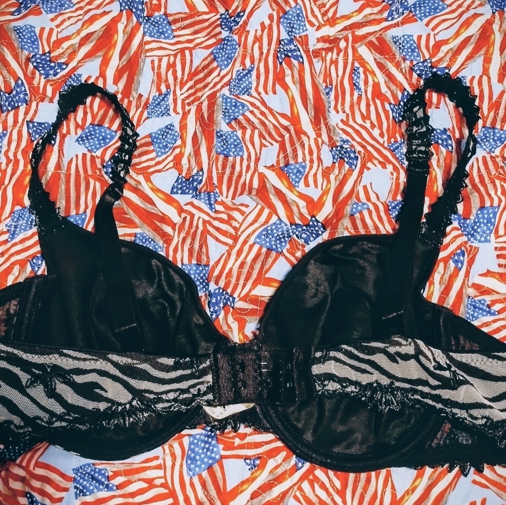 RARE Chantelle Thomas Zebra Print Women's Bra - Picture 4 of 5